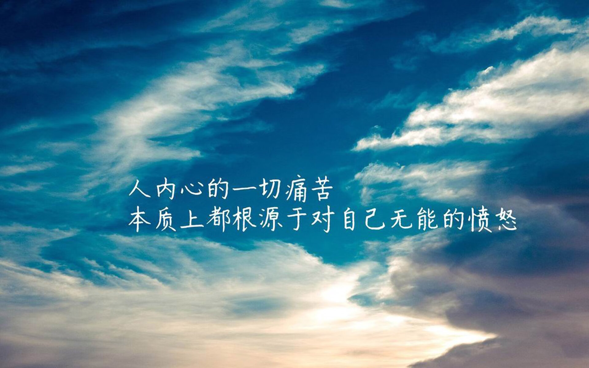 _飞盘运动嘉年华：趣味合作的极致体验_，飞盘运动比赛