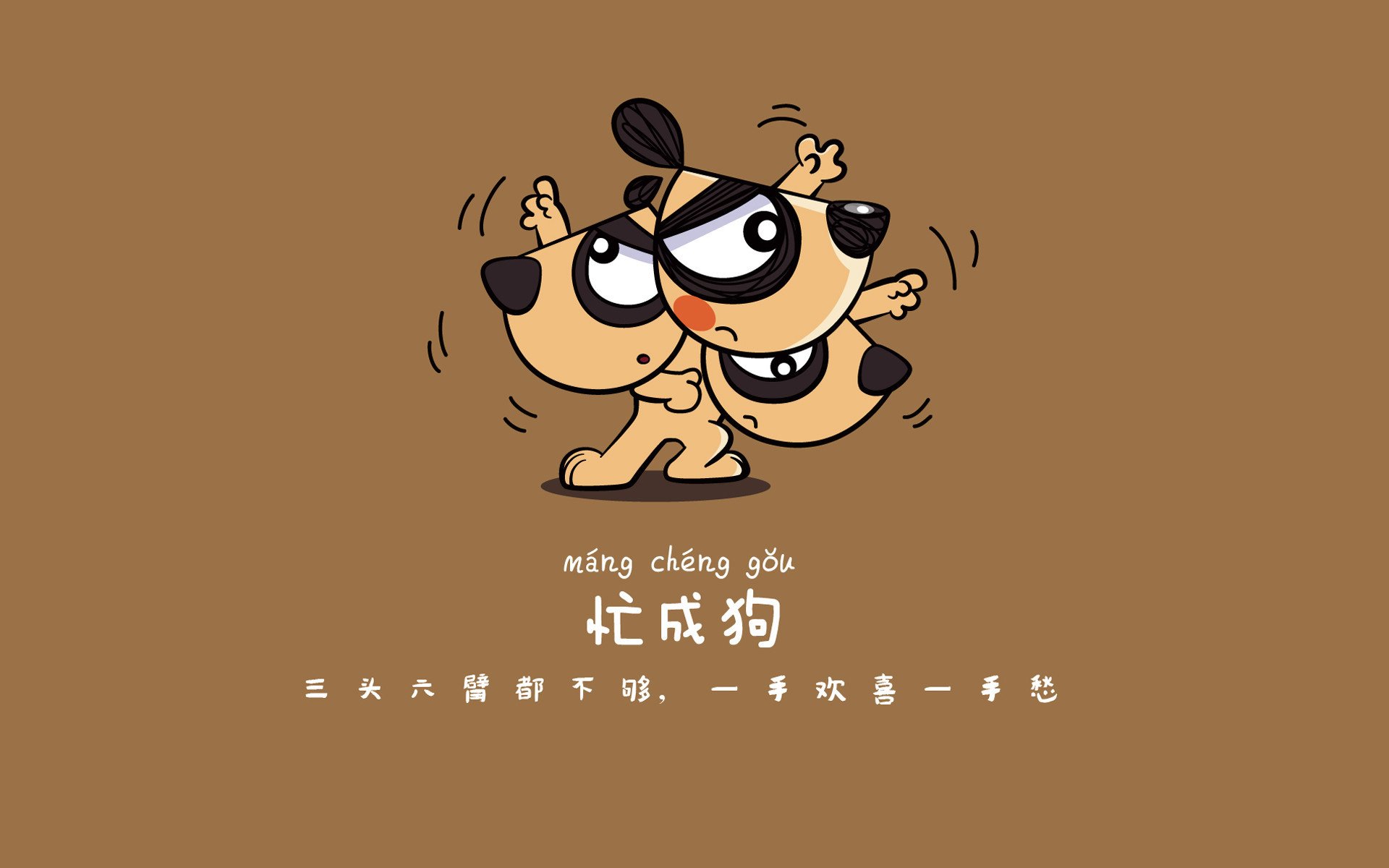 中国拳王张志磊再赢一场，剑指世界金腰带，拳击选手张志磊