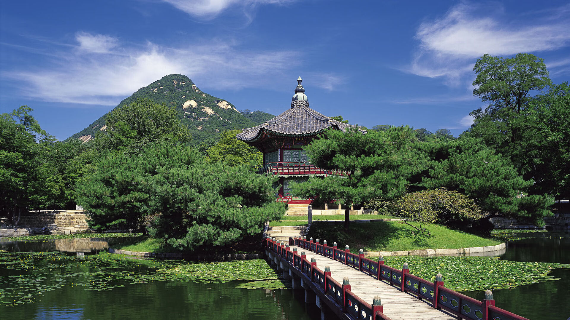 法甲决胜瞬间，球员展示斗志，法甲的比赛