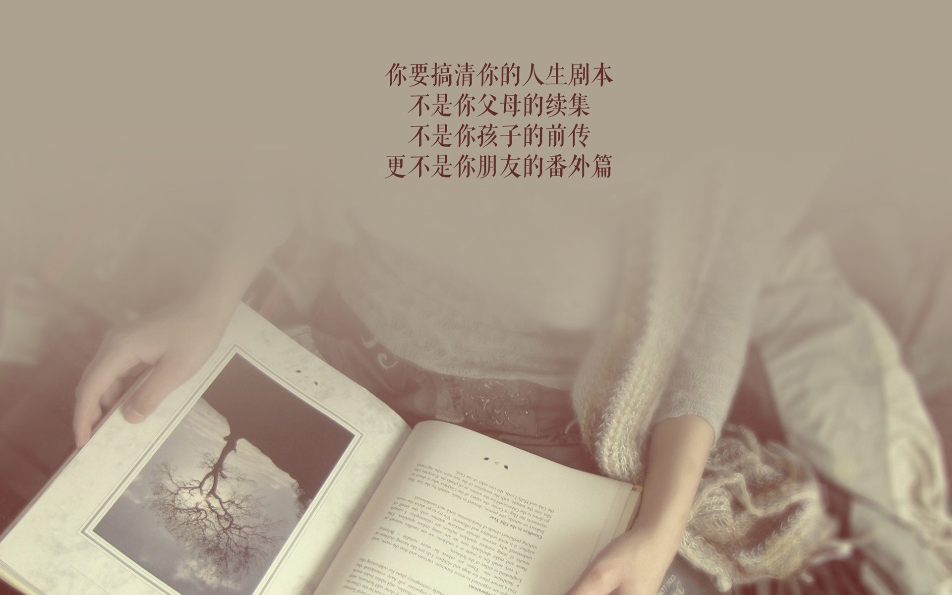 JIUYOU GAMING-埃弗顿攻守切换迅速，古迪逊公园誓保英超资格，古迪逊公园球场和安菲尔德距离