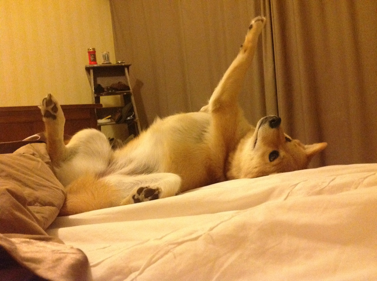 中国青少年篮球运动员身体机能发展规律研究，中国青少年篮球运动员身体机能发展规律研究论文