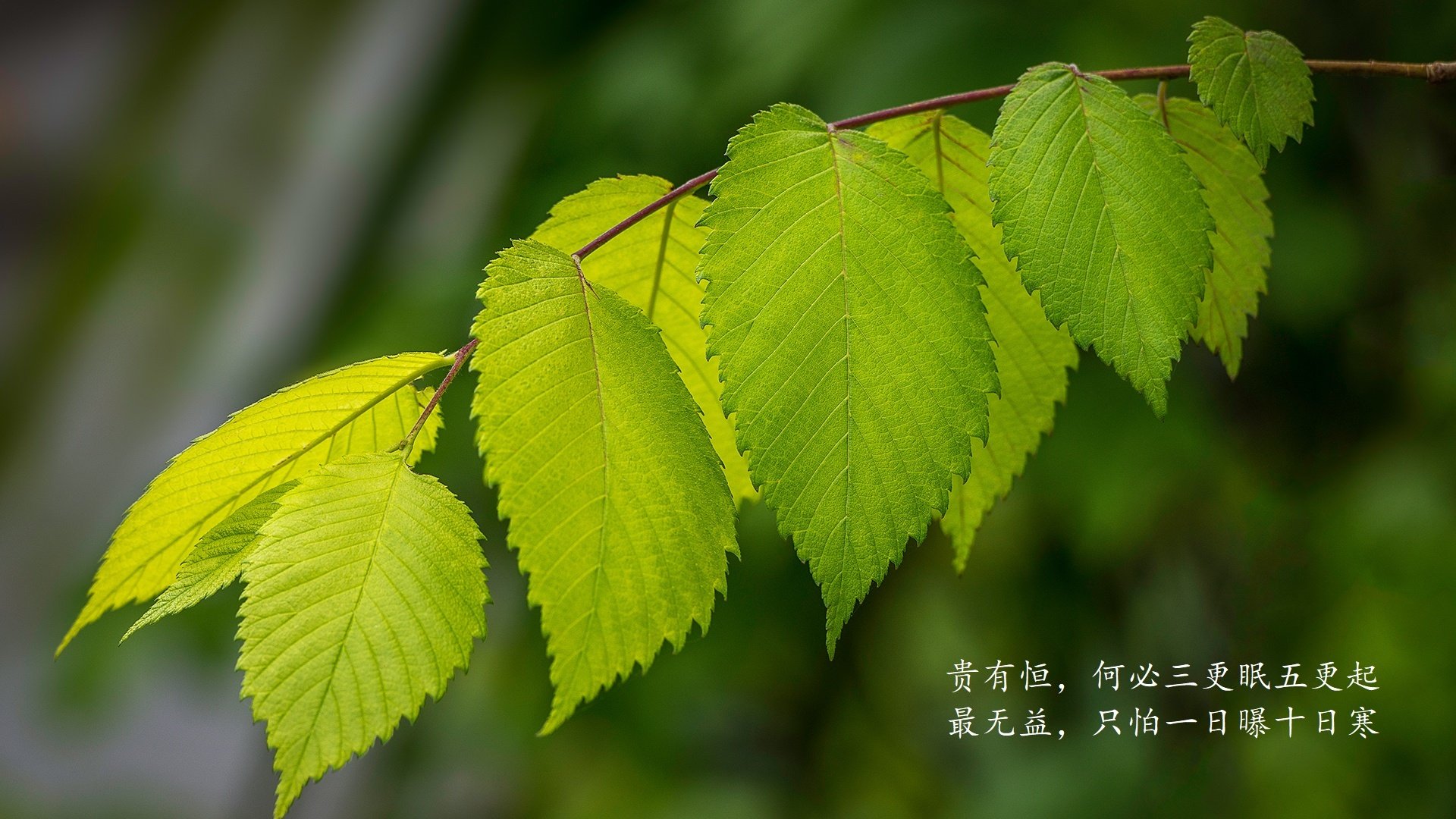 意甲球队运用心率变异性预测过度训练风险，心率变异性在训练中的应用