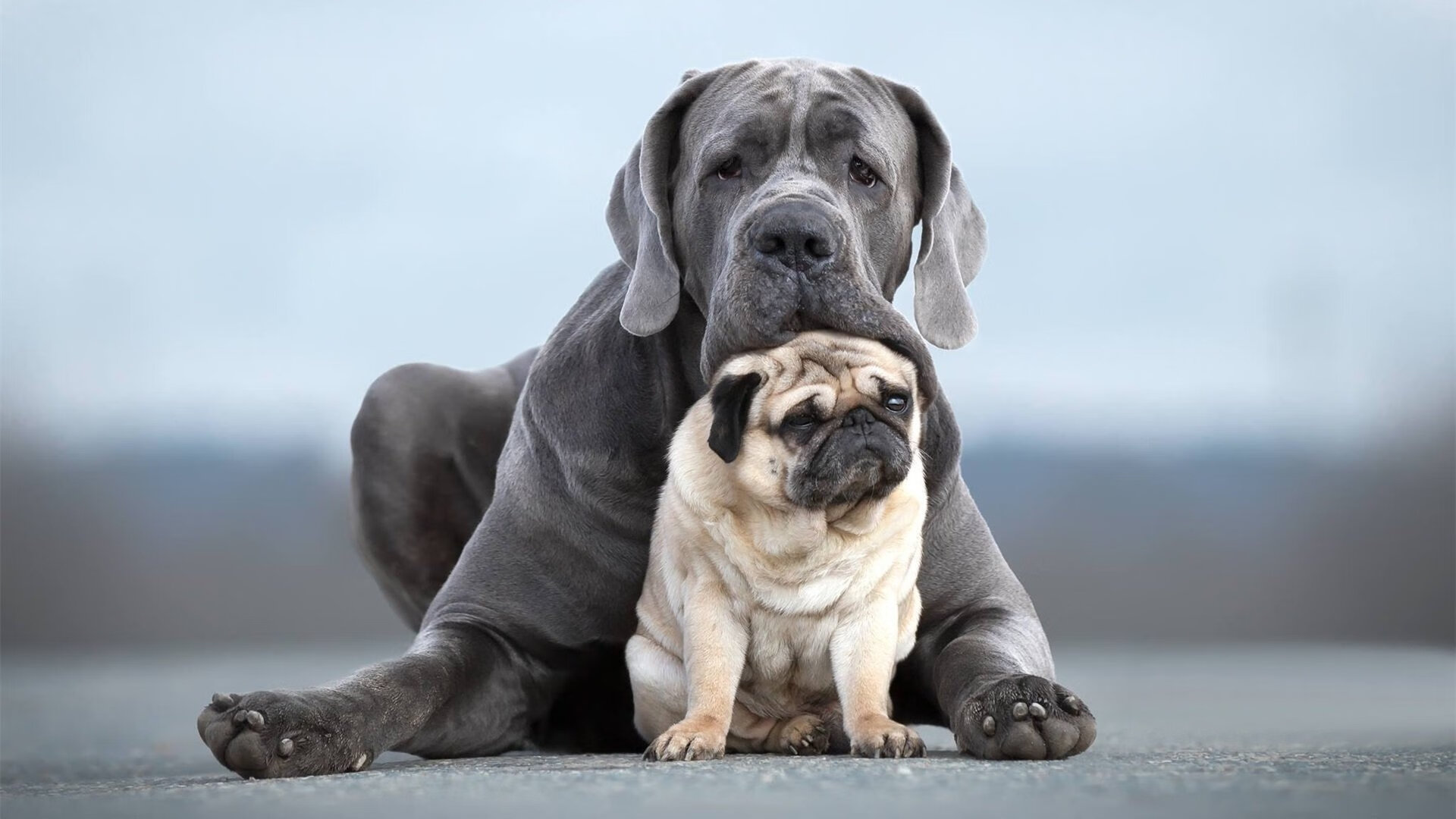 中国篮协举办女篮发展大会推进女性参与多层级提升，中国女篮发展现状