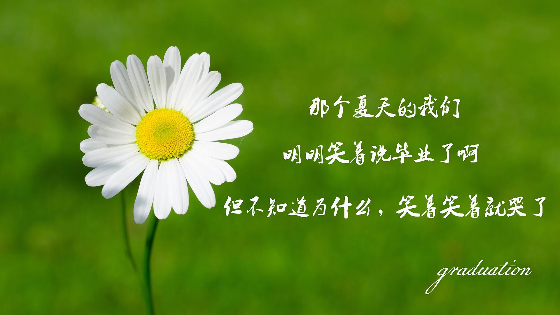 城市足球文化节成为城市文化新名片,城市足球集团官网