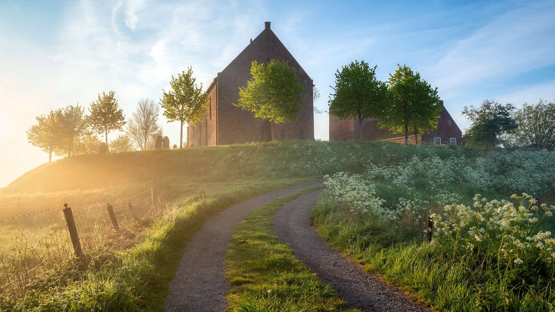 森林狼锋线组合进行高强度力量训练,森林狼训练营