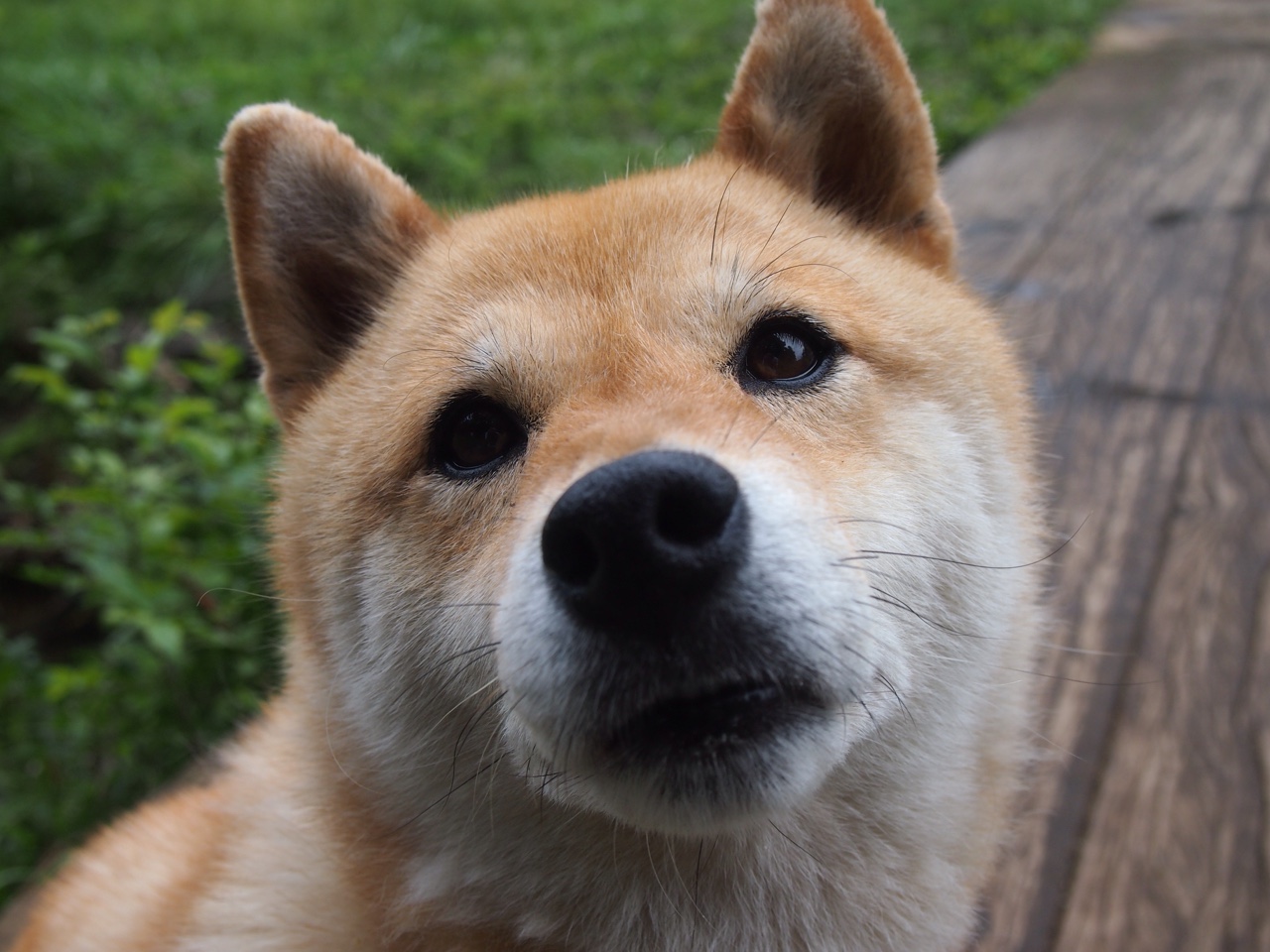 马刺状元秀命中制胜一球成为焦点，马刺为了状元签邓肯